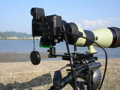 caplioでデジスコ