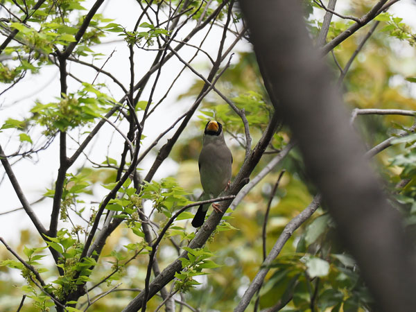 �쒹�^�C�J��></th>
      <th align=