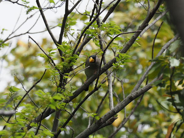 �쒹�^�C�J��></th>
      <th align=