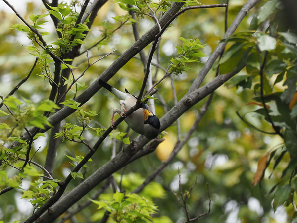 �쒹�^�C�J��