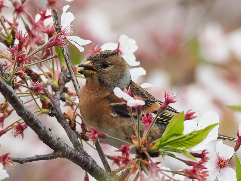 �쒹�^�A�g��