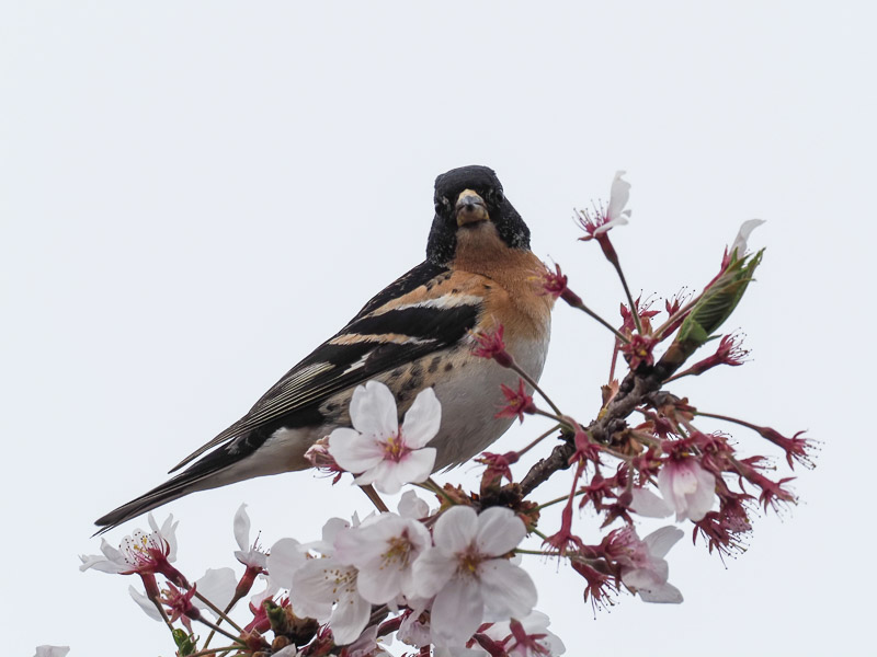 �쒹�^�A�g��