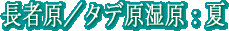 Ҍ^Ẵ^f