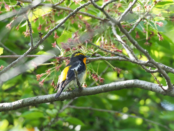 �쒹�^�L�r�^�L