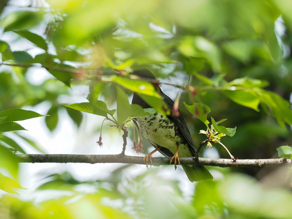 �쒹�^�N���c�O�~