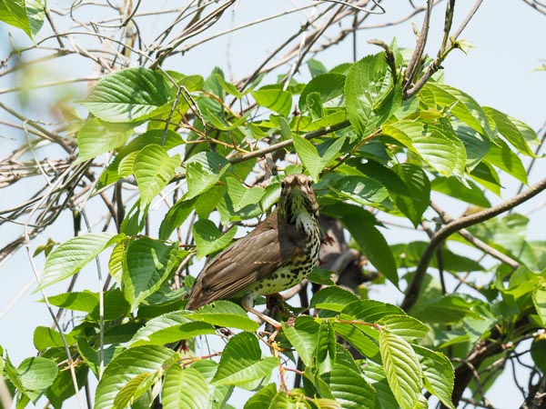 �쒹�^�N���c�O�~