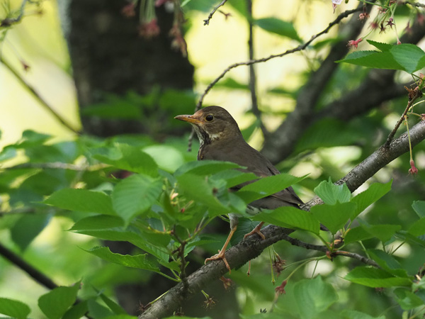 �쒹�^�N���c�O�~