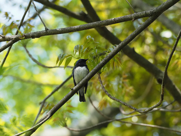 �쒹�^�I�I����