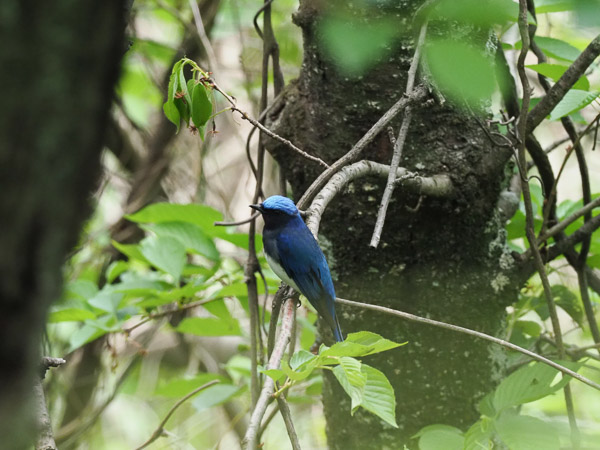 �쒹�^�I�I����