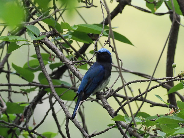 �쒹�^�I�I����