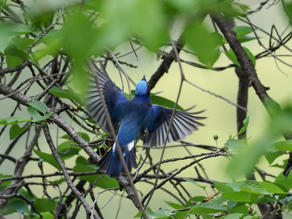 �쒹�^�I�I����