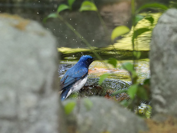 �쒹�^�I�I����