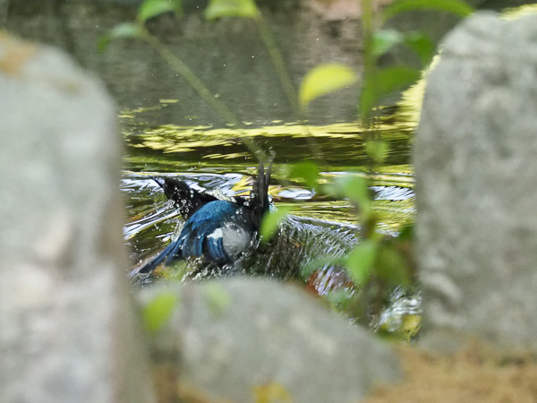 �쒹�^�I�I����