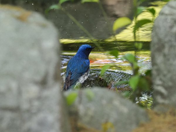 �쒹�^�I�I����