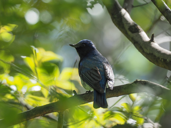 �쒹�^�I�I����