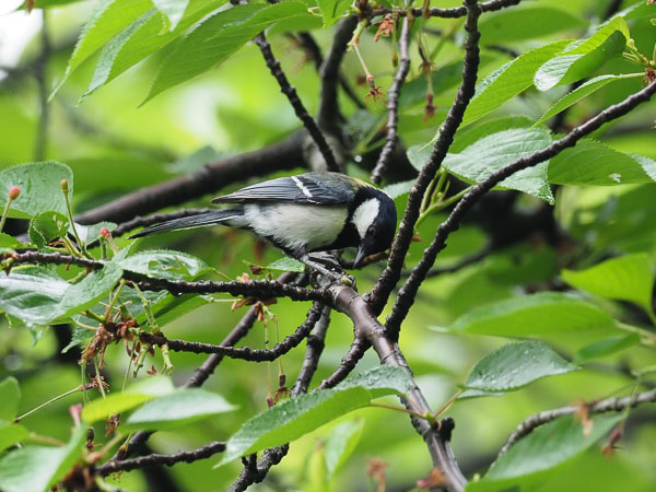 �쒹�^�V�W���E�J��